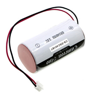 1900 mAh for DSC ER34615M-T1,WT4911BATT