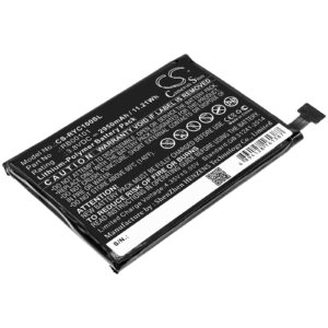 2950 mAh for Ray Enterprises RB00101