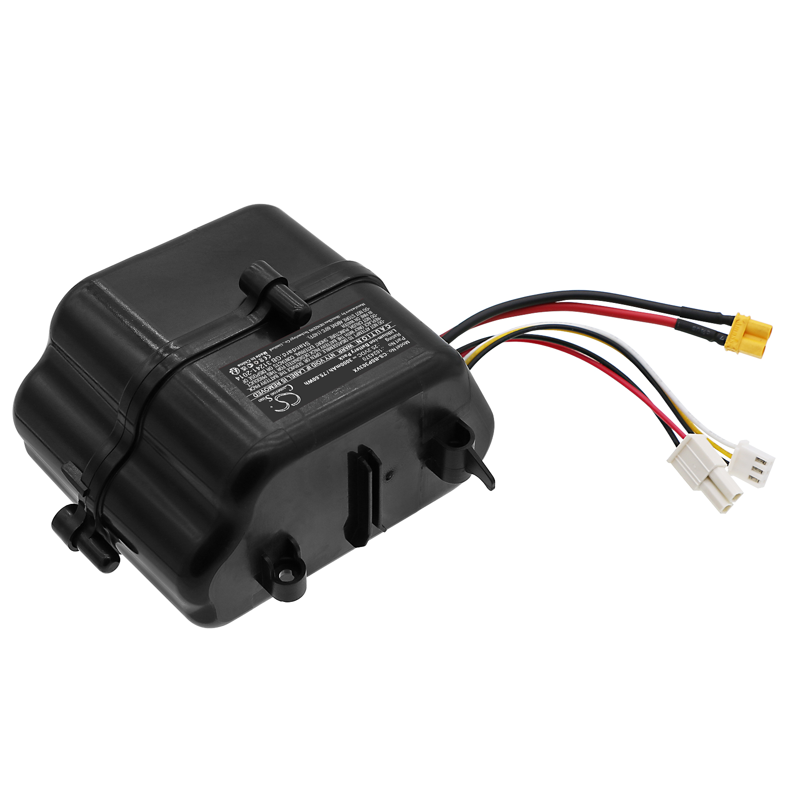 CS-BSP303VX-2.jpg