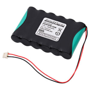 CUSTOM-228 - Dantona Batteries