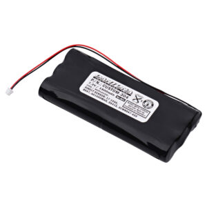 CUSTOM-304 - Dantona Batteries