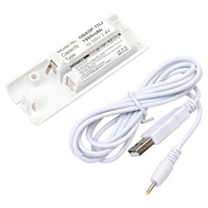 GBASP-11LI - Dantona Batteries