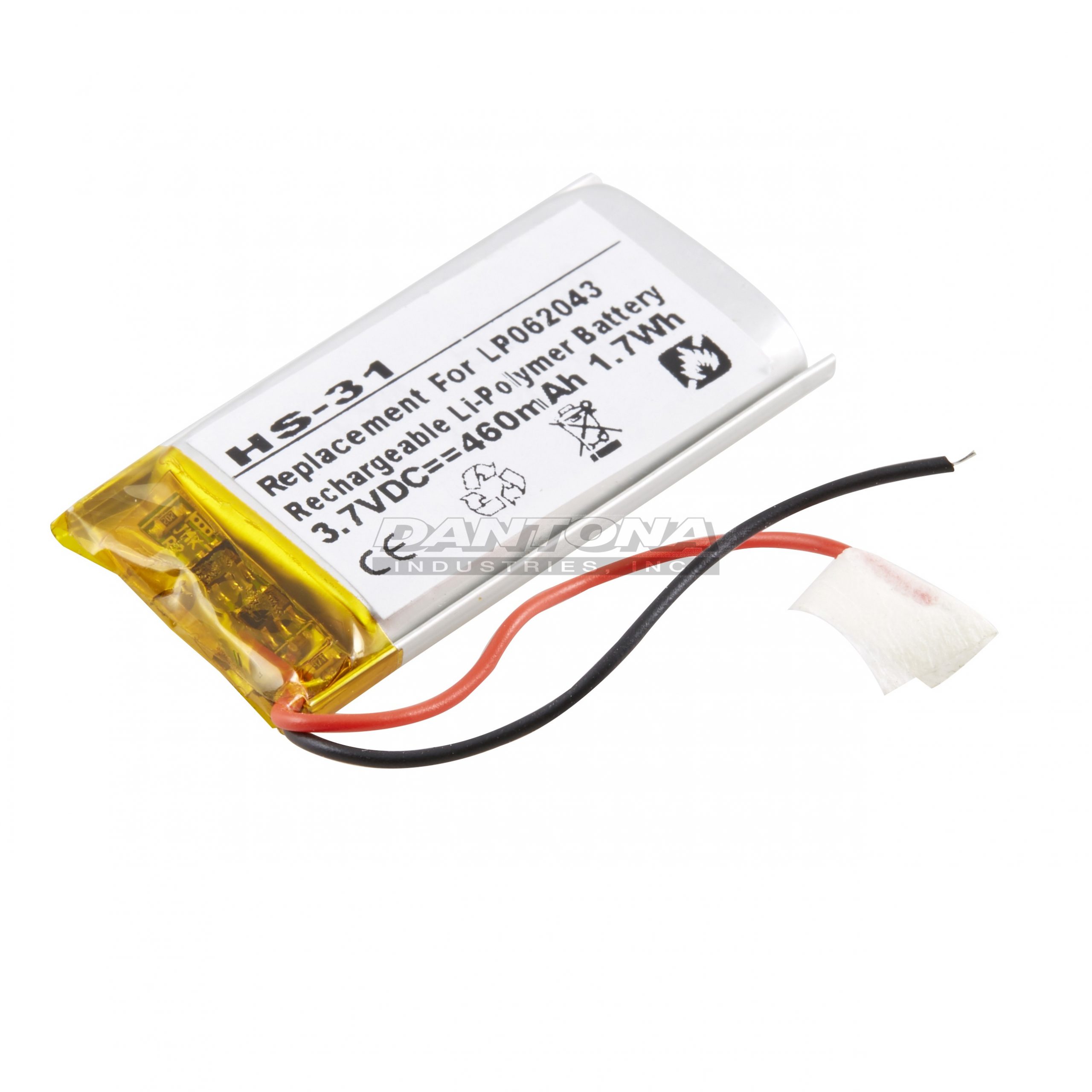 HS-31 - Dantona Batteries
