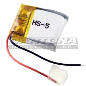 HS-5 - Dantona Batteries